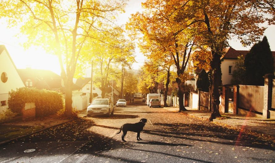 Тепловой насос для отопления загородного дома: плюсы и минусы