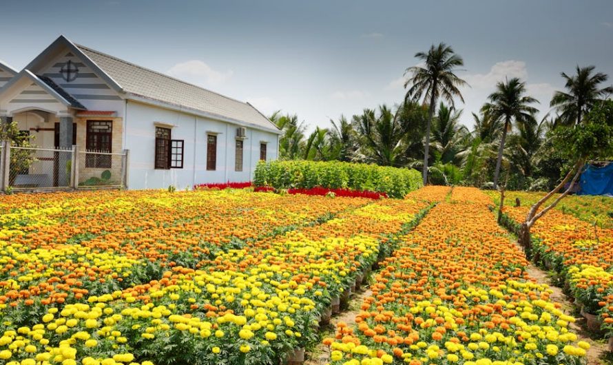 Преимущества теплового насоса для дома в холодном климате