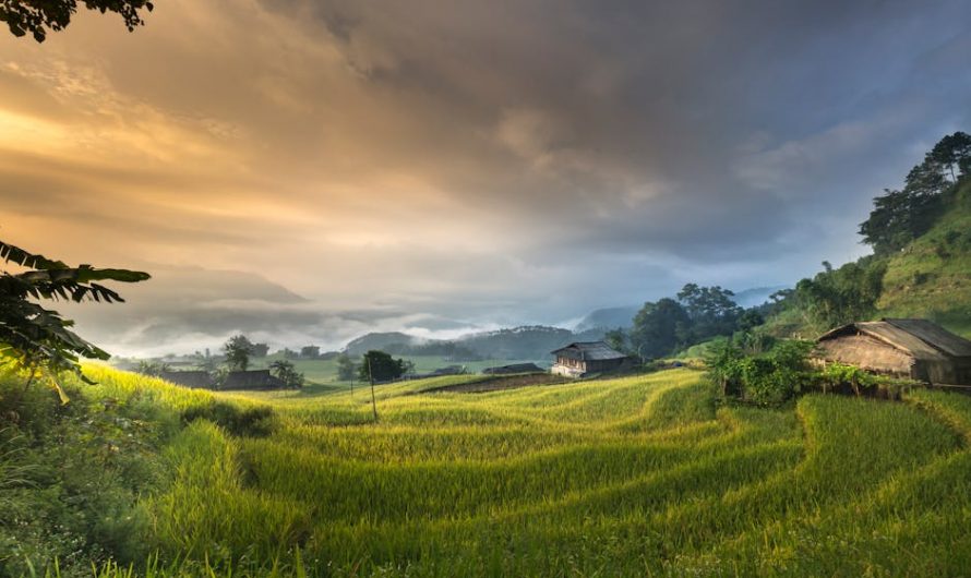 Геотермальный тепловой насос: как установить на участке