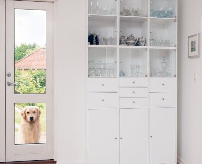 Тепловые насосы для частного дома: установка в подвале