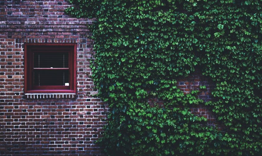 Тепловой насос для частного дома: сравнение с газовым котлом