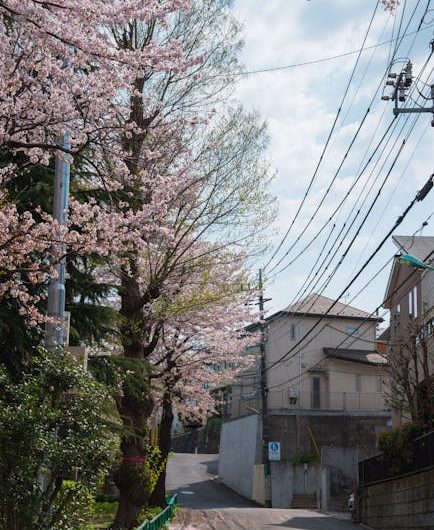 Инверторный тепловой насос: чем он лучше обычного