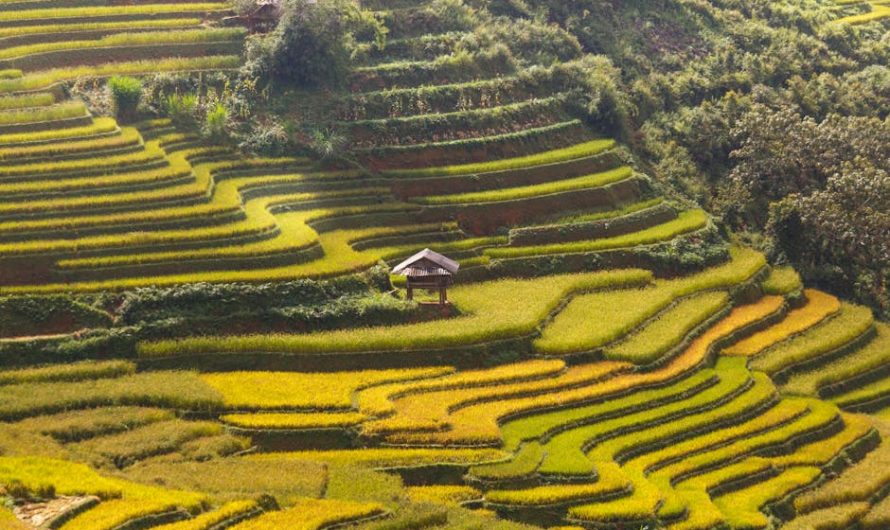 Тепловой насос для отопления частного дома: где купить выгодно
