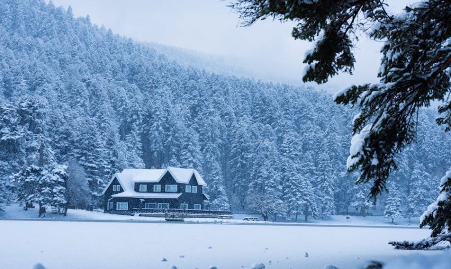 Тепловой насос для загородного дома: как купить недорого