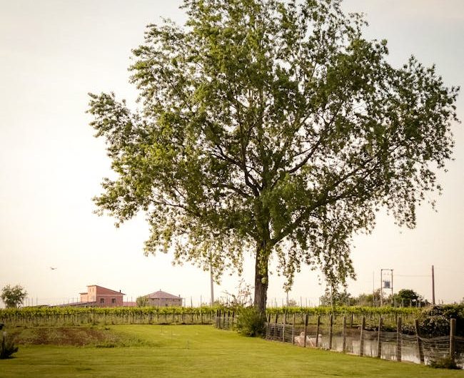 Тепловой насос для отопления дома: как купить в кредит