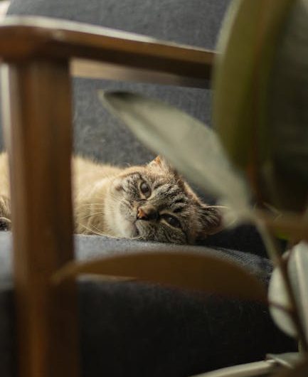 Геотермальный тепловой насос: как установить в подвале