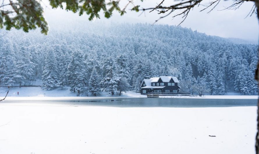 Тепловой насос воздух-вода De Dietrich: обзор моделей